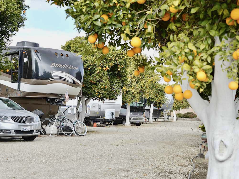 GoodSam's tweet photo. When life gives you lemons, you make lemonade and bring it on your #GoodSamRVRentals road trip 🍋
Where should we go next? https://t.co/EFxox7n4uk