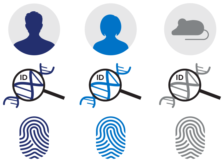 Standard_BioT's tweet photo. How is molecular #sampleID used?
Confirm sample identity:
✅ Compare genetic sex to reported sex
✅ Compare genotypes from distribution sample to accession genotypes
Identify low quality DNA issues:
✅ Low genotype calling rate
✅ Sample contamination
https://t.co/AvzCKIqsb9 https://t.co/9ZQndhQTaJ