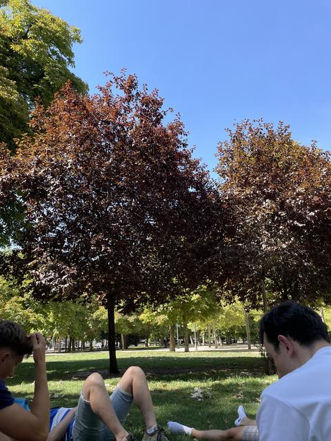 Success from TomplugNL