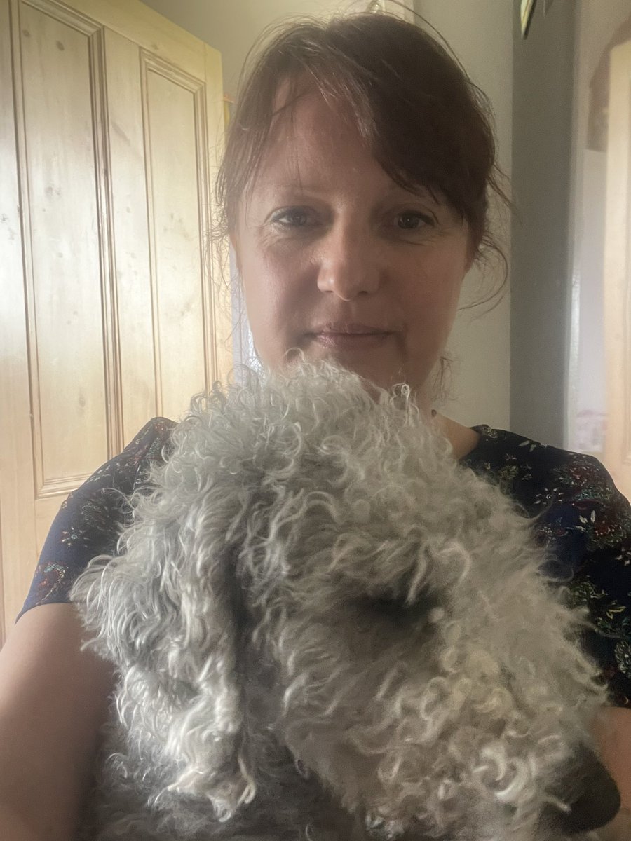 Trying to work from home - my needy boy doesn’t seem to like 4pm MS Teams meetings 😂 he always needs a cuddle at this time!!