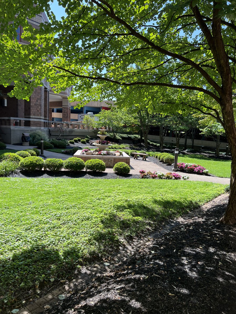 ledje's tweet photo. Fired up and ready to go! Kicking off our year-long Resident Diversity Leadership Program with a grant from the @AmerMedicalAssn. Looking forward to welcoming 40 exceptional residents from @OSUWexMed @VCUHealth @IndianaUniv @UCincyMedicine! @ssanten @sanjayvdesai https://t.co/3SbX8cEUVN