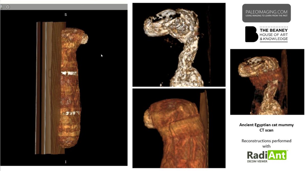 New video added! Ancient Egytian mummified cat - CT reconstructions youtu.be/ZLgBdHP16dU via @YouTube @The_Beaney @MTWnhs @radiantviewer