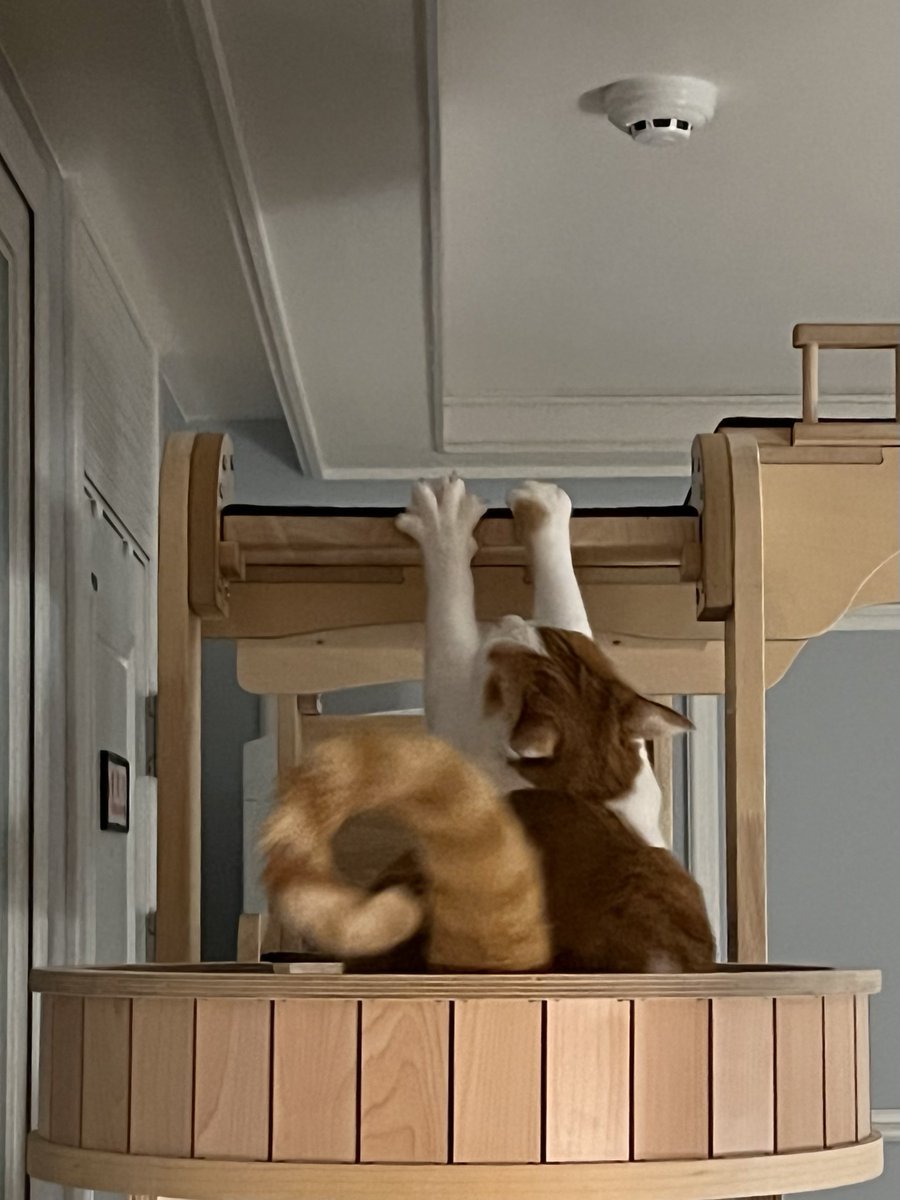 순간포착 세상에 이런 귀염둥이가?!