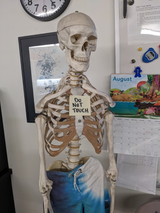 HydRAWR's tweet photo. How I know my skeleton, Boney had a good summer... #summerfun https://t.co/n7OraOg1di