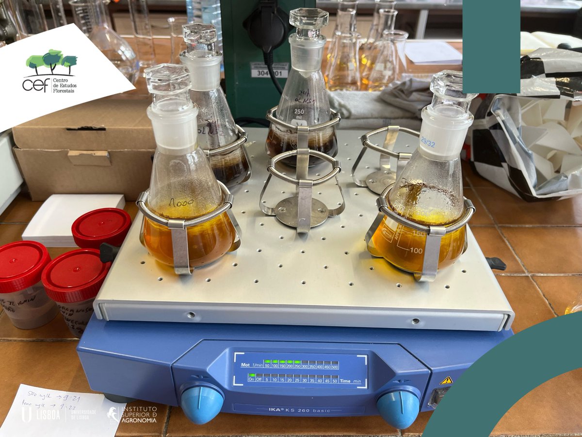 As part of the <a href="/Lignocost_eu/">Lignocost</a> #CEF PhD student, Ricardo Costa, stayed at the Faculty of Technology Novi Sad to study the use of #lignin isolated from the residues of the #pinenut industry as an adsorbent for #chromium and #cadmium from water.

<a href="/isagronomia/">Instituto Superior de Agronomia</a> <a href="/ULisboa_/">ULisboa</a> <a href="/COSTprogramme/">COST</a>