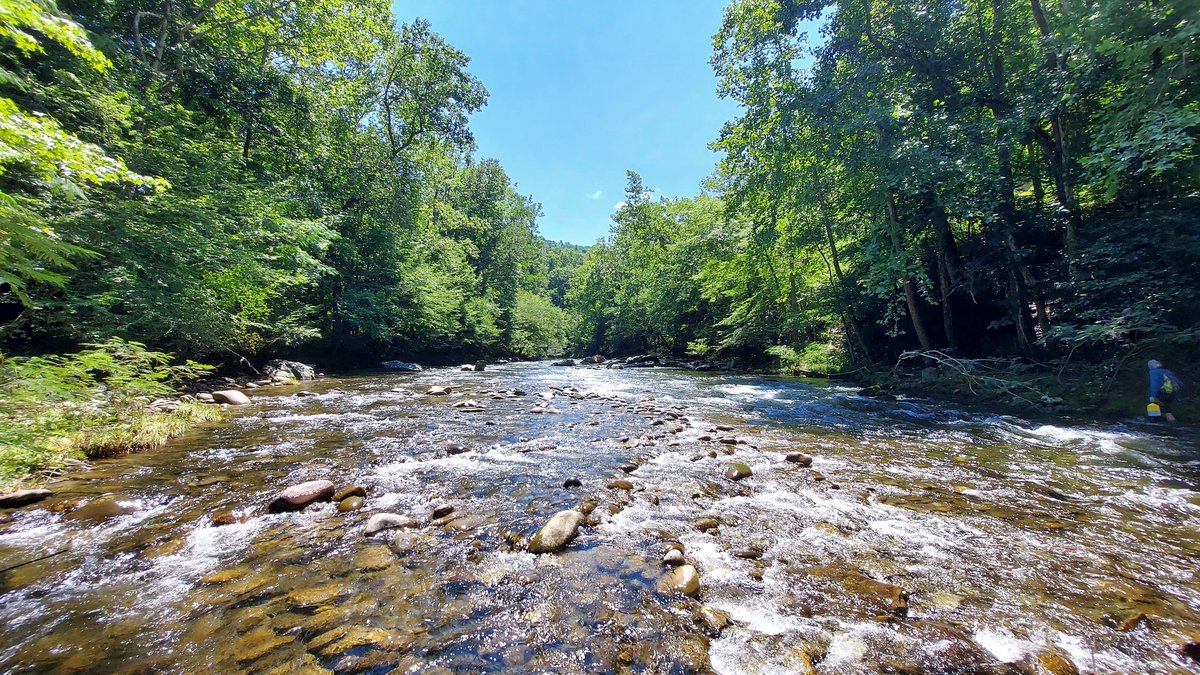 When the river gage shows 18,000 ft3/s at your study site after 3 weeks of nonstop rain, you look for alternative field work to keep your sanity! Thank god for labmates 🙌