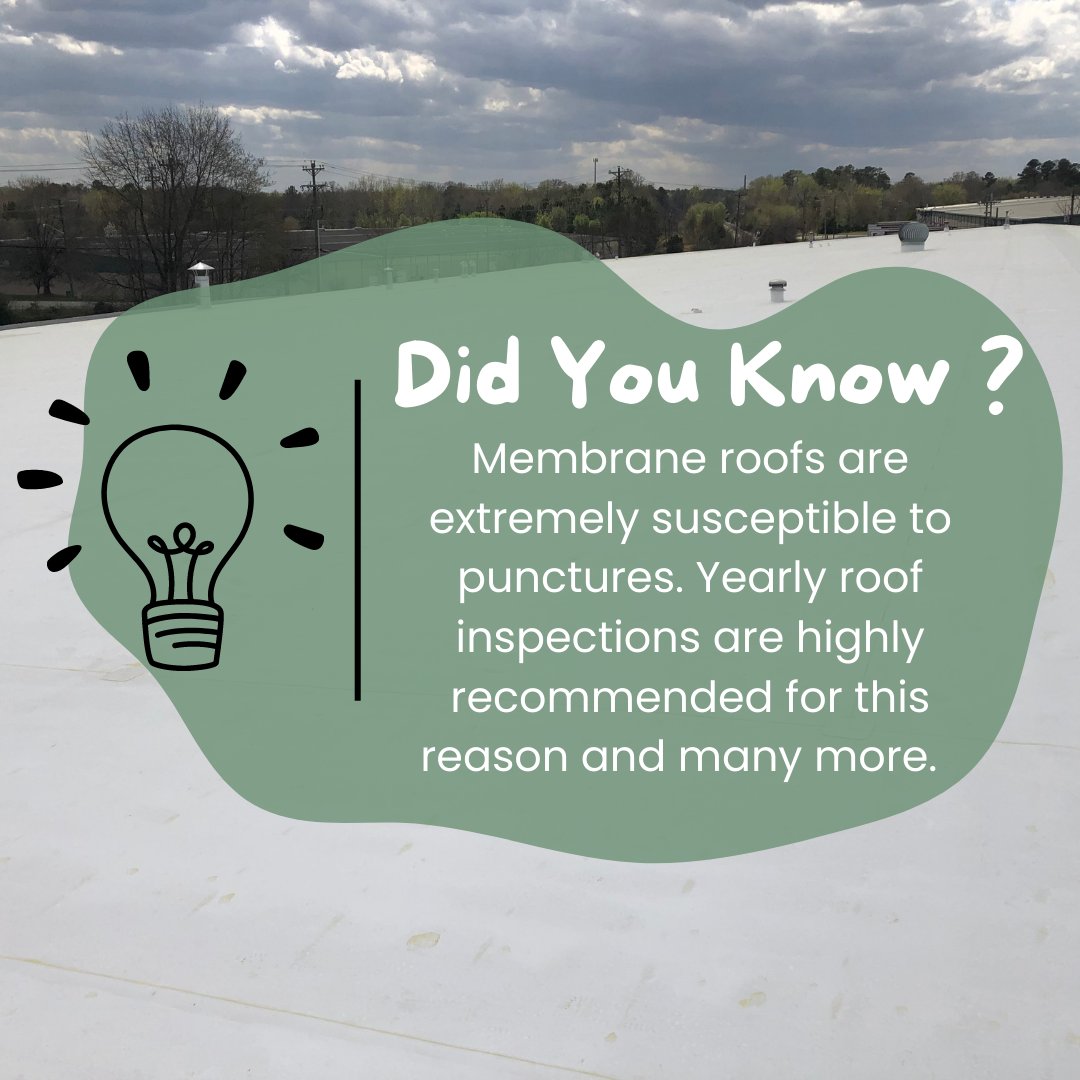RayCompany1904's tweet photo. Did you know?
Membrane roofs are very susceptible to punctures. These can be caused by foot traffic, maintenance tools, bullets, etc. Due to the higher risk of punctures, yearly roof inspections are highly recommended to extend the service life of your roof. CALL 704-391-8001 https://t.co/44mKR2Fu6j
