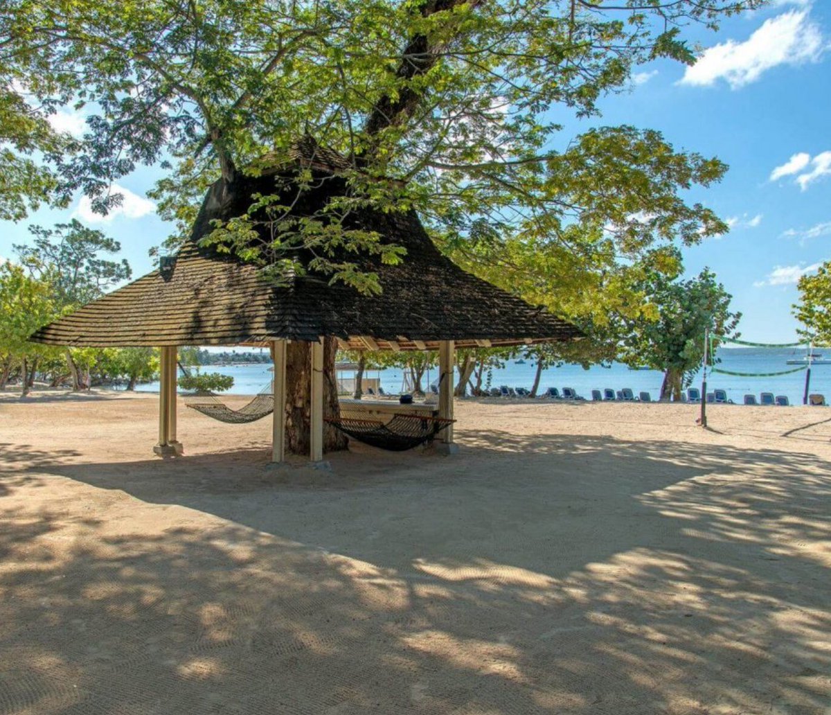 Hedonism II, Negril tweet media