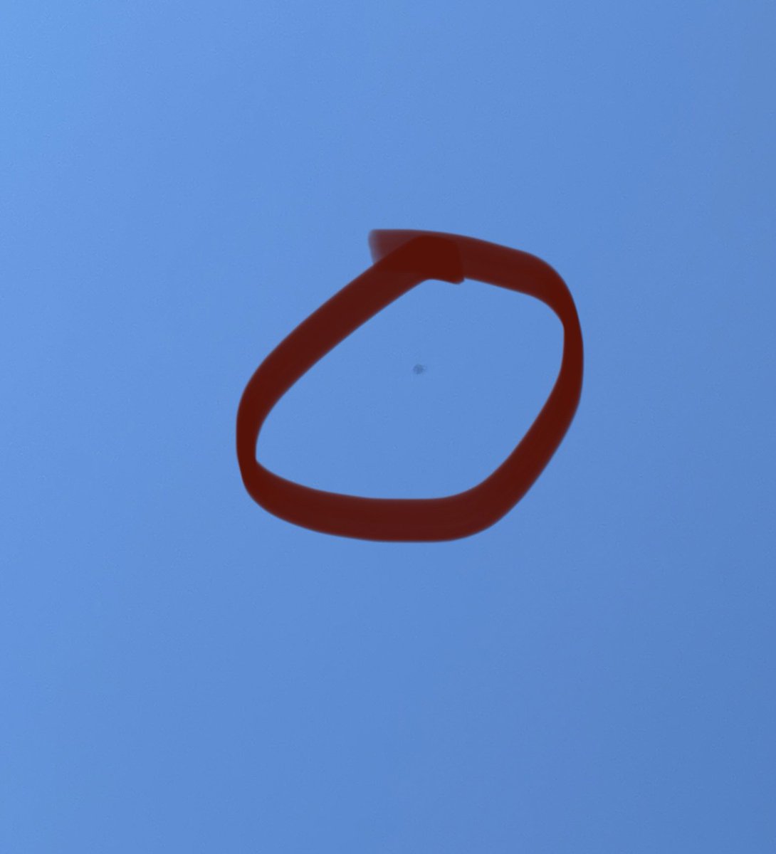 Rachel Rizzo tweet media