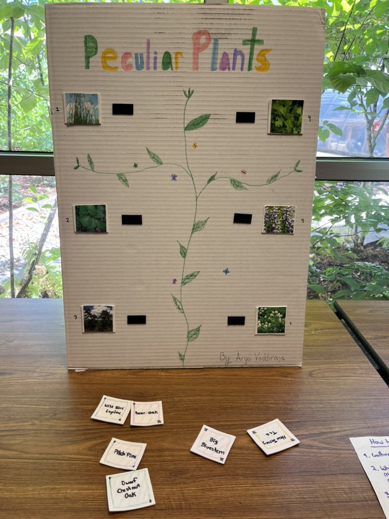 FMS Butterfly Station tweet media