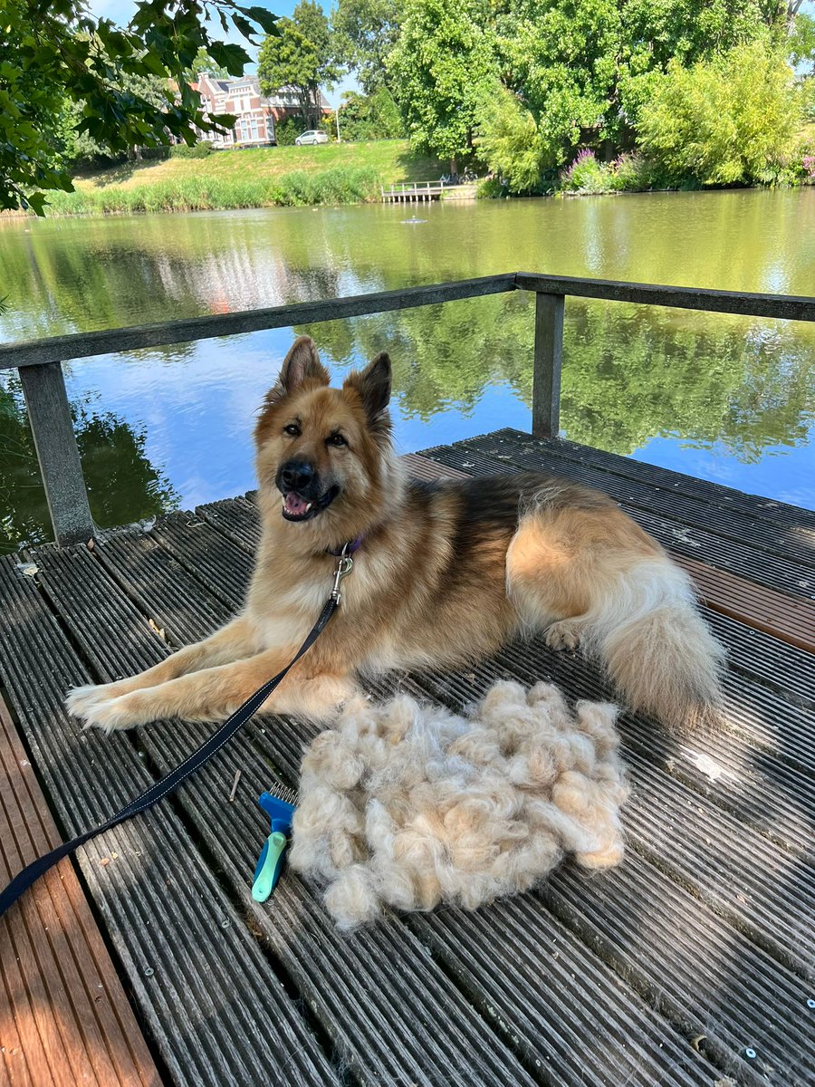 Zo, Zilver heeft weer een jas uitgedaan 🥰🥰
