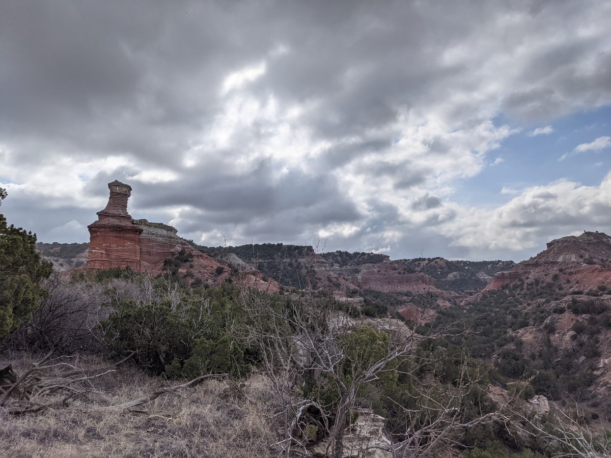 Ian Marling tweet media