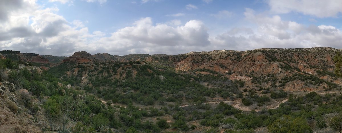 Ian Marling tweet media