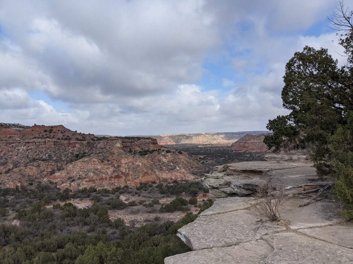 Ian Marling tweet media