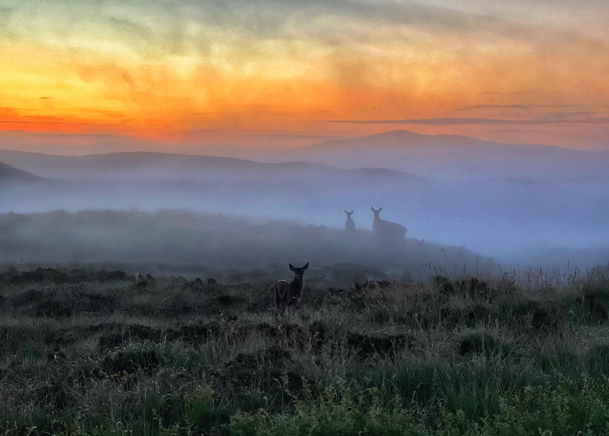 Right place, right time