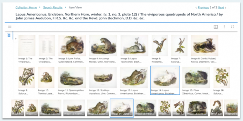 ClementsLibrary's tweet photo. The #ClementsLibrary Image Bank contains a variety of graphic materials, maps, and manuscripts from various periods in early American history. https://t.co/VfqOy1UA0w https://t.co/2jsDF62Nzj