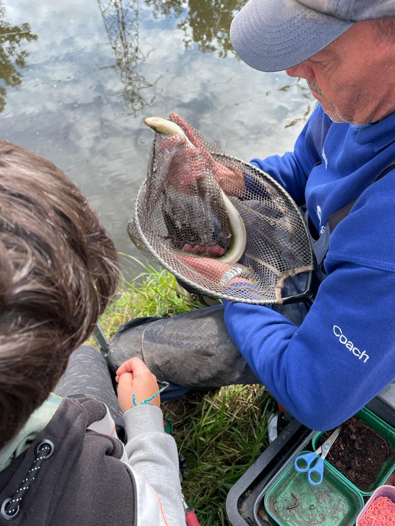 Staffordshire Space tweet media