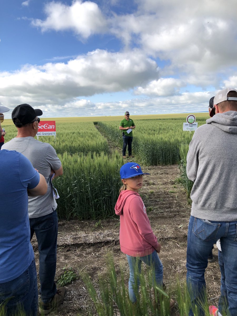 CordonGeisam's tweet photo. ⁦@aggrowconsult⁩ Pense plot tour talking on #AACSchrader  “I” rate #FHB  #CWAD. And #AACHockley and #AACHodgeVB #CWRS. ⁦@FPGenetics⁩ https://t.co/wQXo8u7WQE