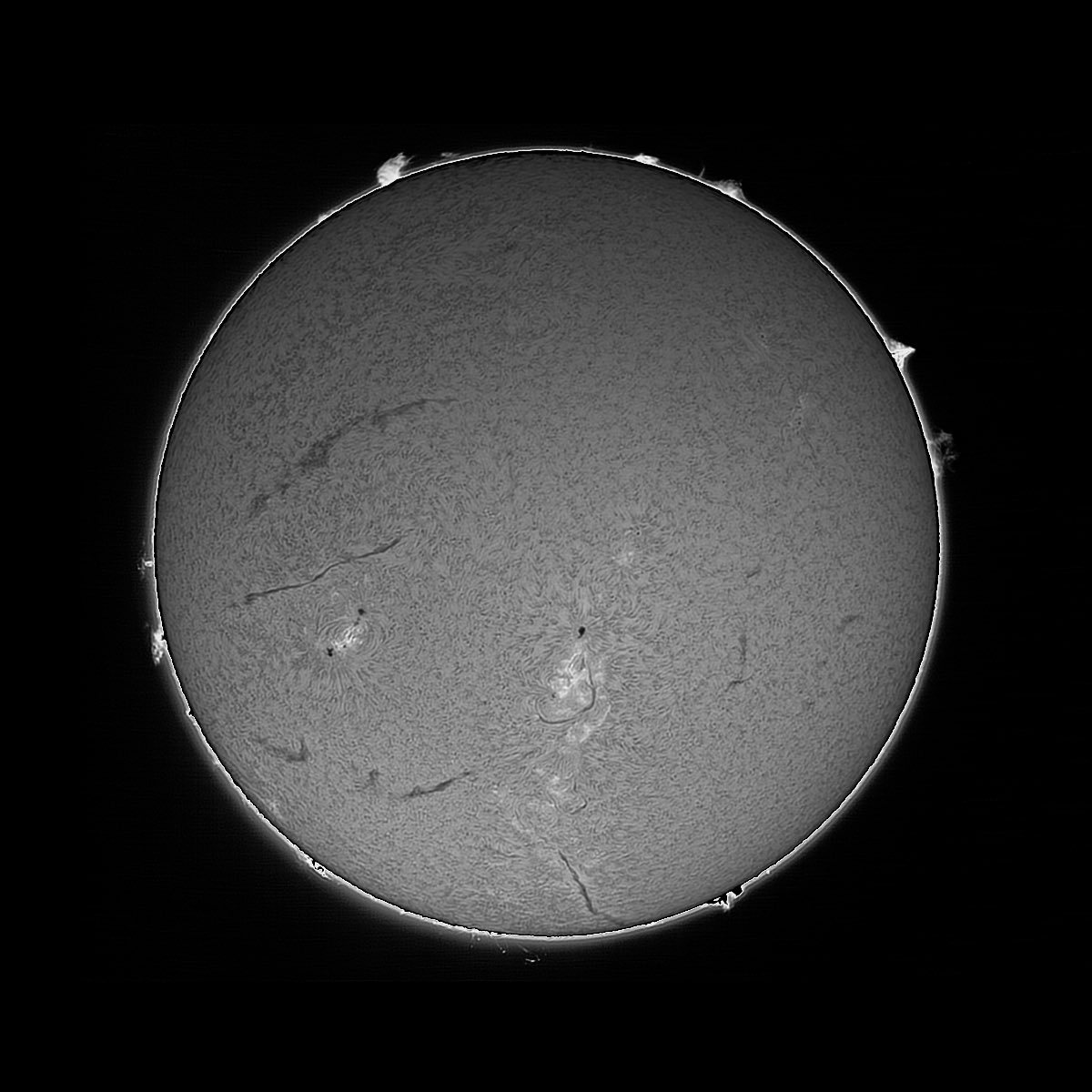 timur_hp's tweet photo. #luntsolarsystems #solartelescope #sun #astronomy #astrophotography #suntelescope #solarfilter #solarflare #sunspots #hydrogenalpha 2022-07-10 asi120, Lunt double stack. https://t.co/KTm5ZETrLC