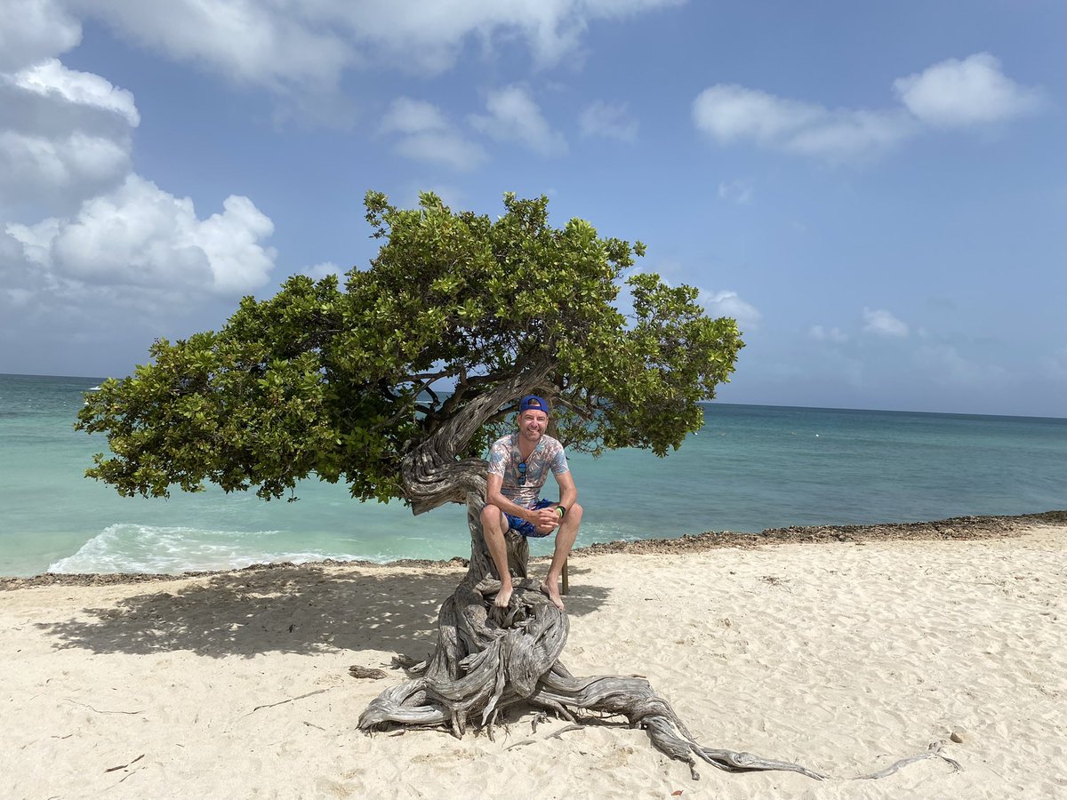 Dennis_Engelen's tweet photo. Vakantiemááán! Ben ik al bruin?!
#Aruba
#Eaglebeach
#Divitree https://t.co/TtT9ANWeFO