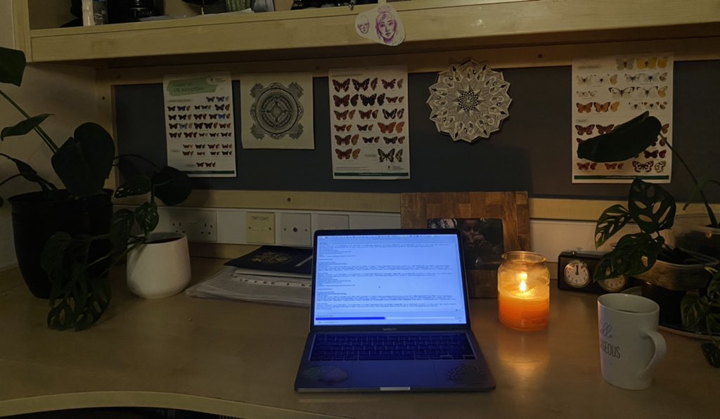 GIS, tea and a calm study space 👌#GIS