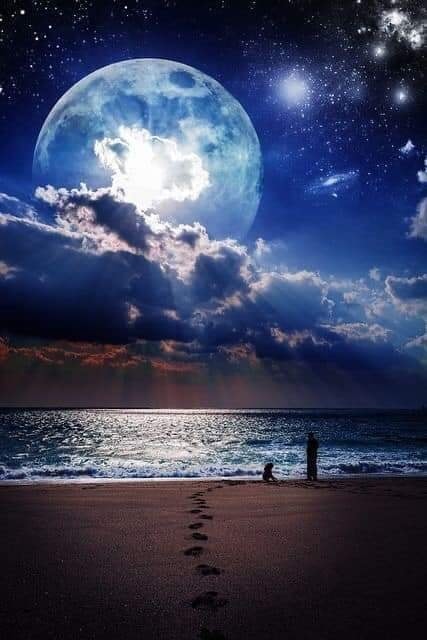 Nite 🌛