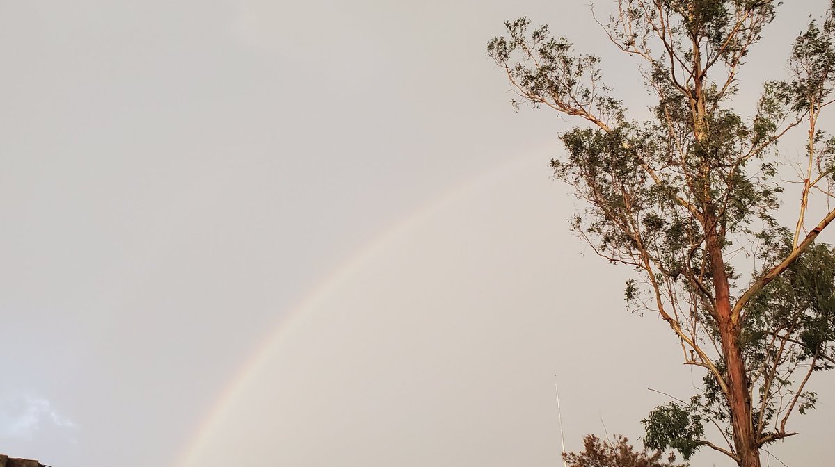 SoolKia's tweet image. إن الماضي دوامة ! إذا تركته يسيطر على لحظتك الحالية فأنه سيمتصك ويجرفك ! ماالزمن إلا وهما" فحسب ! وكل ماتحتاج إليه هو أن تعيش اللحظة بالذات ! إستمتع بالمطر مع إلوانه ! هذا كل ما يهم !