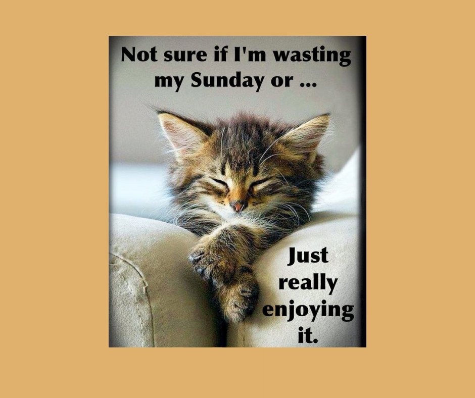 To each their own - enjoy your Sunday the best way you see fit! #sundays #makethemostofit #timetoenjoy