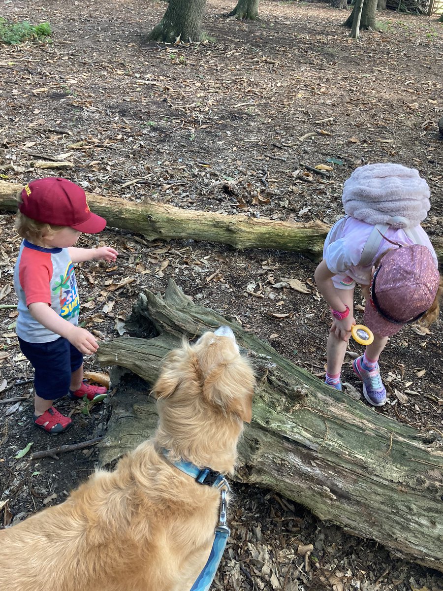 CJReedDuff's tweet photo. Exploring with the kids and dog today got me 12k steps #AHPsActive #WeActiveChallenge https://t.co/PzBpuZuuLD