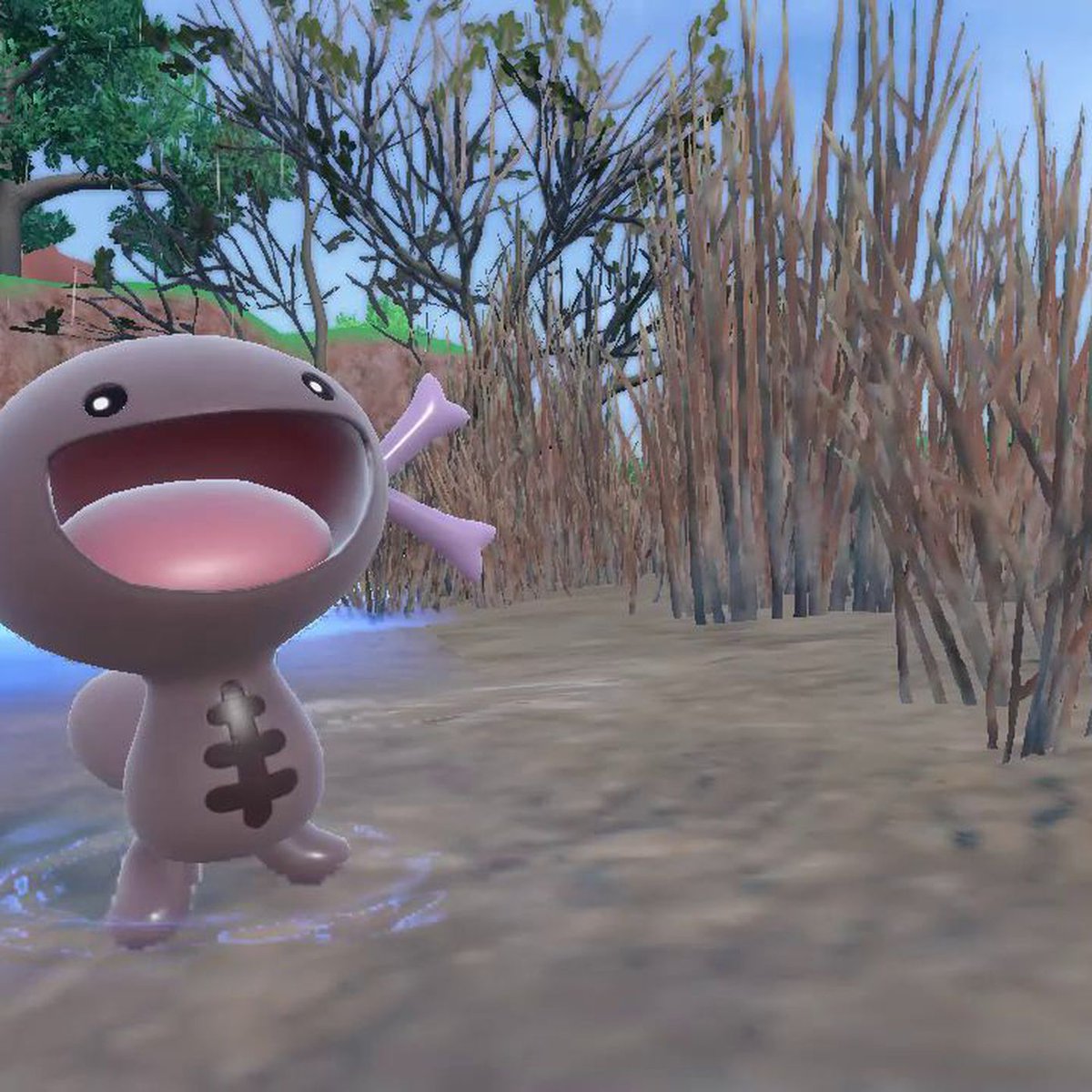 LOOK AT THE BOI
LOOK AT HIM!!!