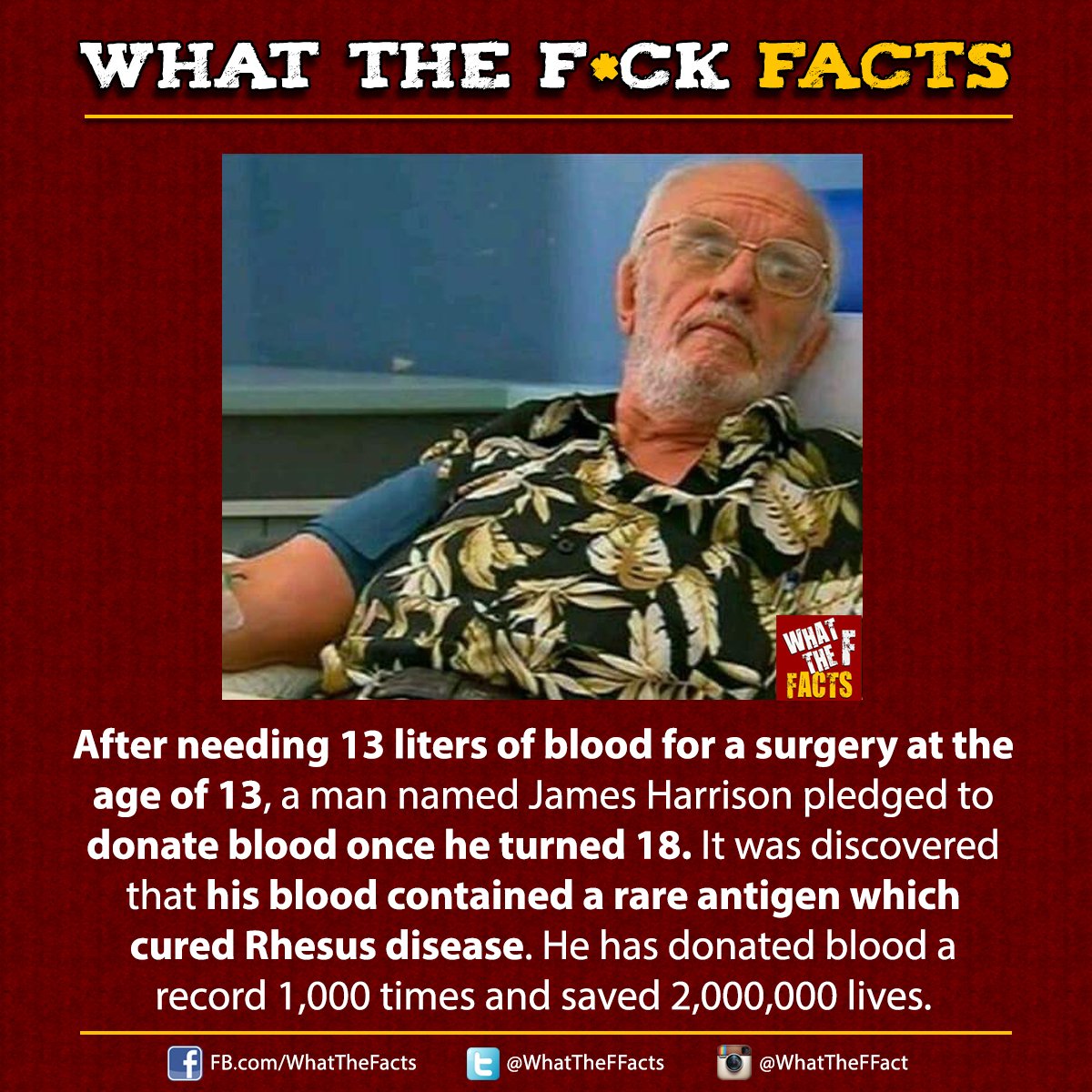 What The F*** Facts tweet media