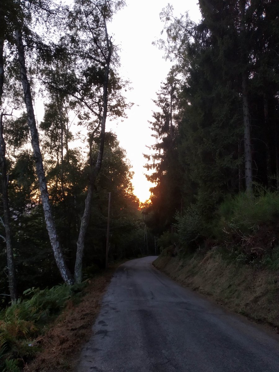 galatacla's tweet photo. "Ora lascia, o Signore, che il tuo servo vada in pace secondo la Tua Parola..."
#Dumenza https://t.co/9r7TMu4log