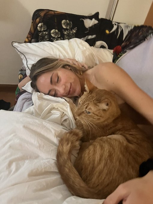 hey_Cat