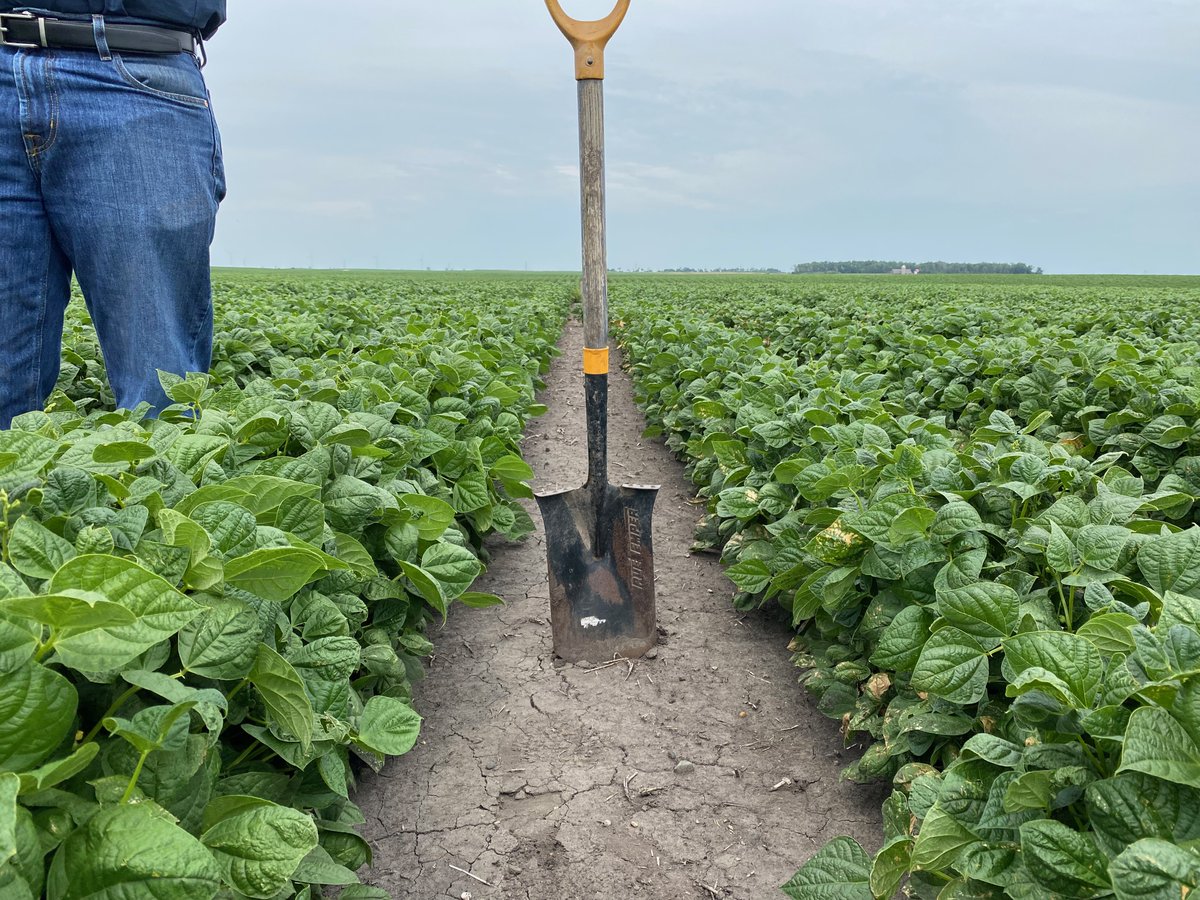 Trace Genomics (@tracegenomics) on Twitter photo Yesterday we visited <a href="/arthuragronomy/">The Arthur Companies</a> at a few of their sites in North Dakota! It’s exciting to see the biological amendment field trials and talk with them about how they’re using Trace data for #sustainable #soil management Yesterday we visited <a href="/arthuragronomy/">The Arthur Companies</a> at a few of their sites in North Dakota! It’s exciting to see the biological amendment field trials and talk with them about how they’re using Trace data for #sustainable #soil management