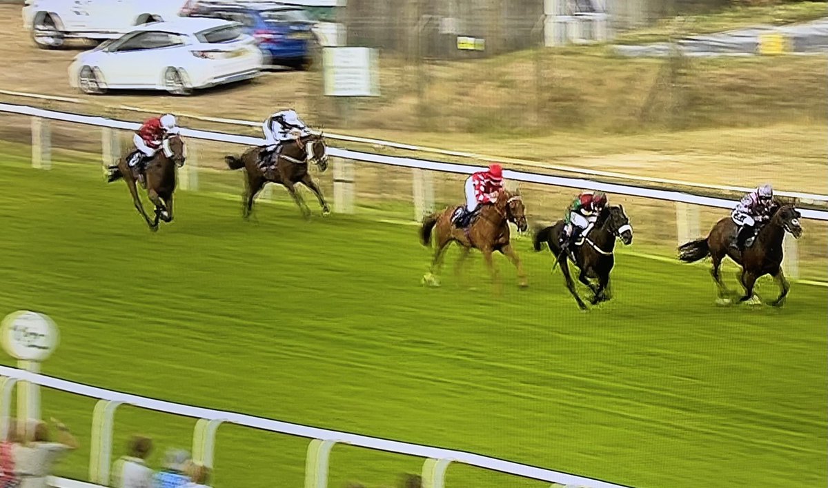 amajox's tweet photo. Congrats #champ @amajox @BrodieHampson1 WINS @GTYarmouthRaces #PercyProsecco #heldup #stormedhome #rideofthemonth @Archie_Watson #happyretirementPercy #topride #7ran #topjock now joins @beckysmith360 in #poleposition #4wins #leadinglady #championship🌟🙌👌👏👏👏👏👏 https://t.co/jKkbYKJ2ij