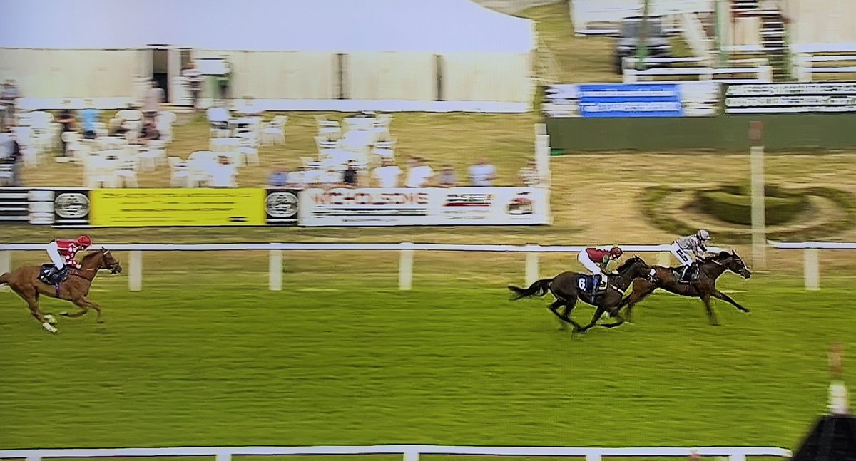 amajox's tweet photo. Congrats #champ @amajox @BrodieHampson1 WINS @GTYarmouthRaces #PercyProsecco #heldup #stormedhome #rideofthemonth @Archie_Watson #happyretirementPercy #topride #7ran #topjock now joins @beckysmith360 in #poleposition #4wins #leadinglady #championship🌟🙌👌👏👏👏👏👏 https://t.co/jKkbYKJ2ij