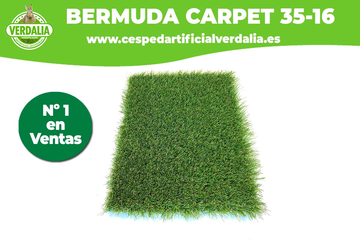 El césped artificial #BermudaCarpet 35-16 destaca por ser el más natural. Diseñado para todo tipo de jardines y usos, públicos y privados, zonas de piscinas… 🍃 Con relleno de arena se alarga el uso y se convierte en el más fresco de su categoría. 💡

👉 cespedartificialverdalia.es
