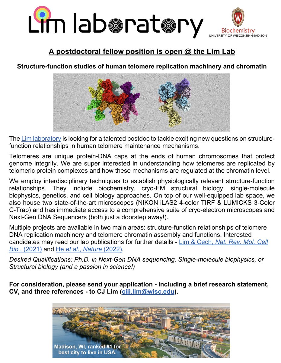 We are ready to expand the Lim Lab at <a href="/UWBiochem/">UW–Madison Biochem</a>!! We are looking for a talented postdoc to study human telomere maintenance mechanisms (NextGen Seq, Single-molecule, or Structural Bio)
Details for the application are below or DM me. Please help RT and spread the word. Thank you!