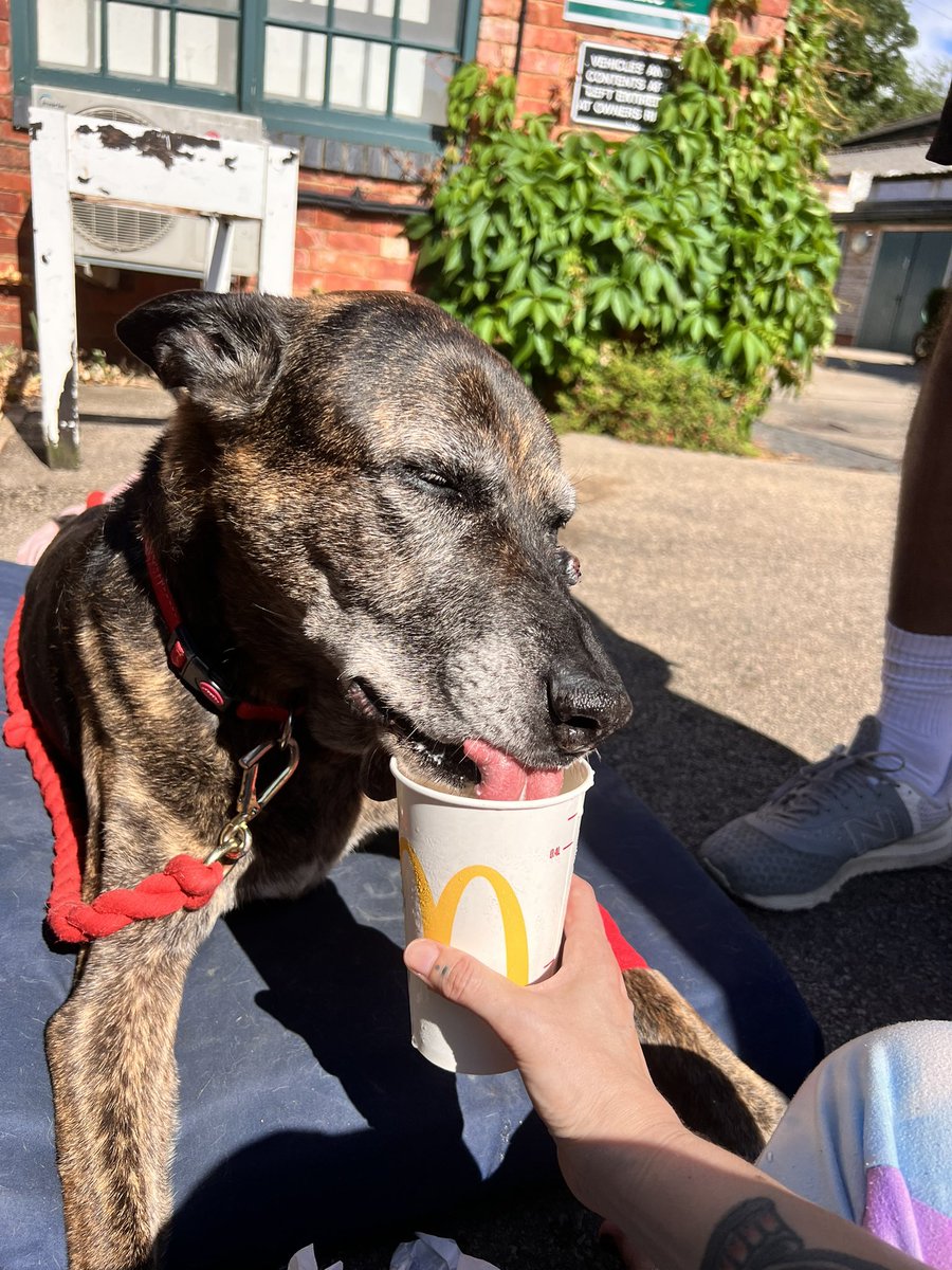 The Ambassador tweet media