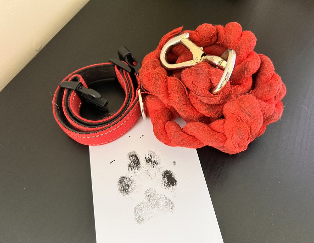 The Ambassador tweet media