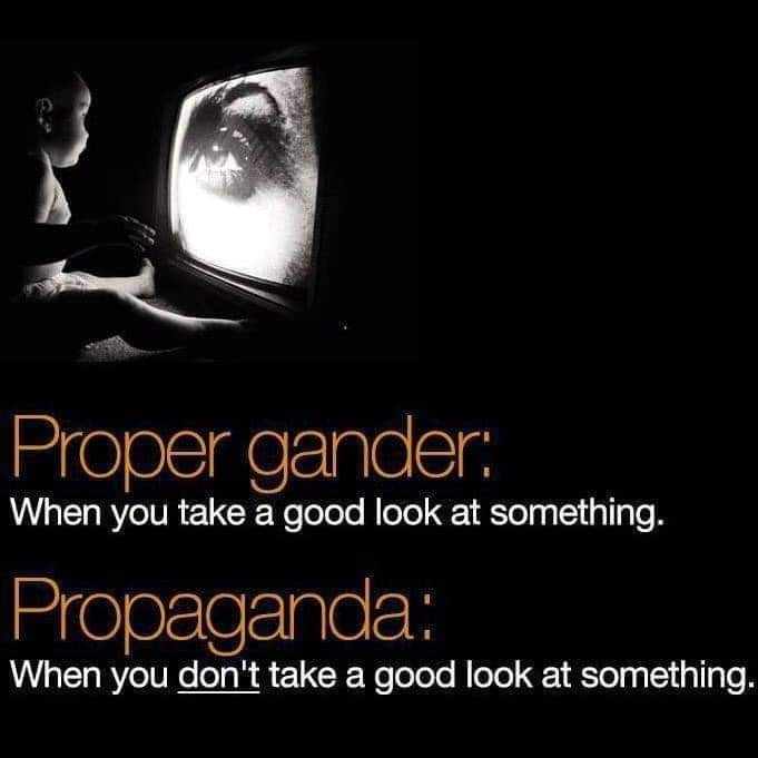 CannEntheo's tweet image. #lern_herstory #lernblogs