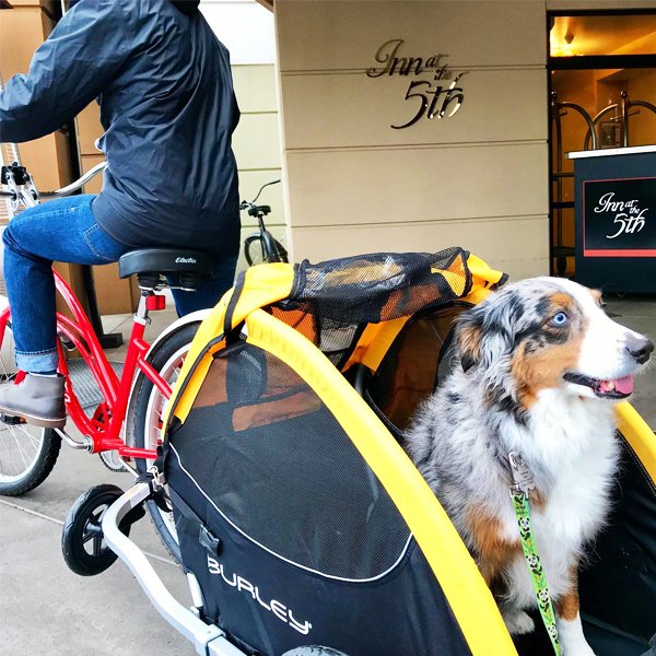 No matter where your travels take you, there's a spot for you and your best friend at the Inn.

#Innatthe5th #boutiquehotel #5thStreetPublicMarket #MarketDistrict #staywithus #petfriendly