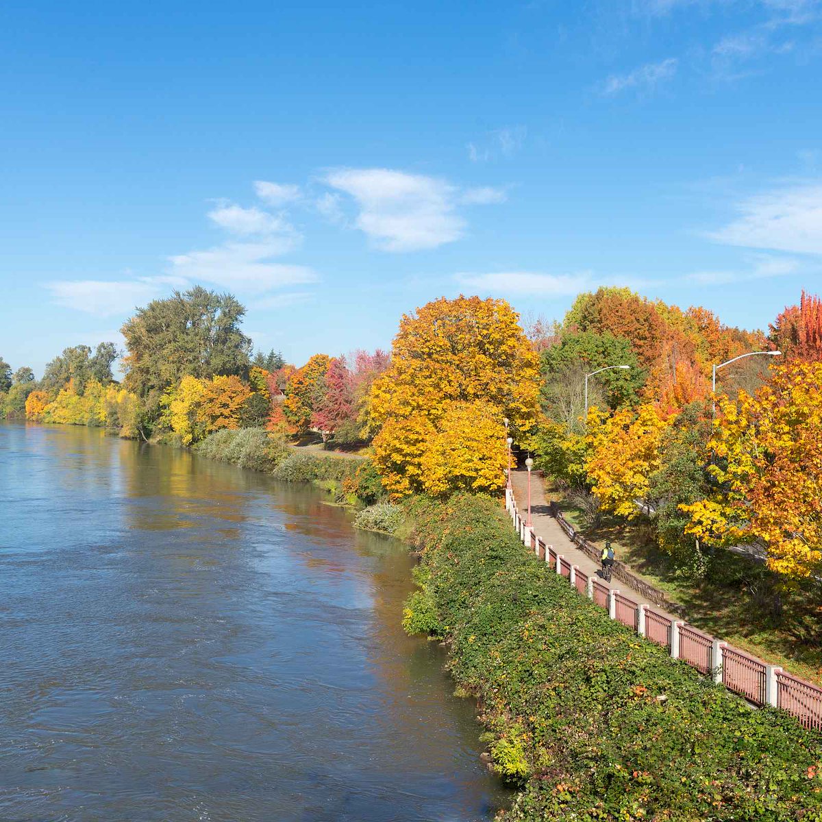 Connect with the great outdoors during your stay! We're just a short drive from great hiking and biking trails like Spencer Butte, Mount Pisgah, Skinner Butte, and the Ridgeline Trail System.