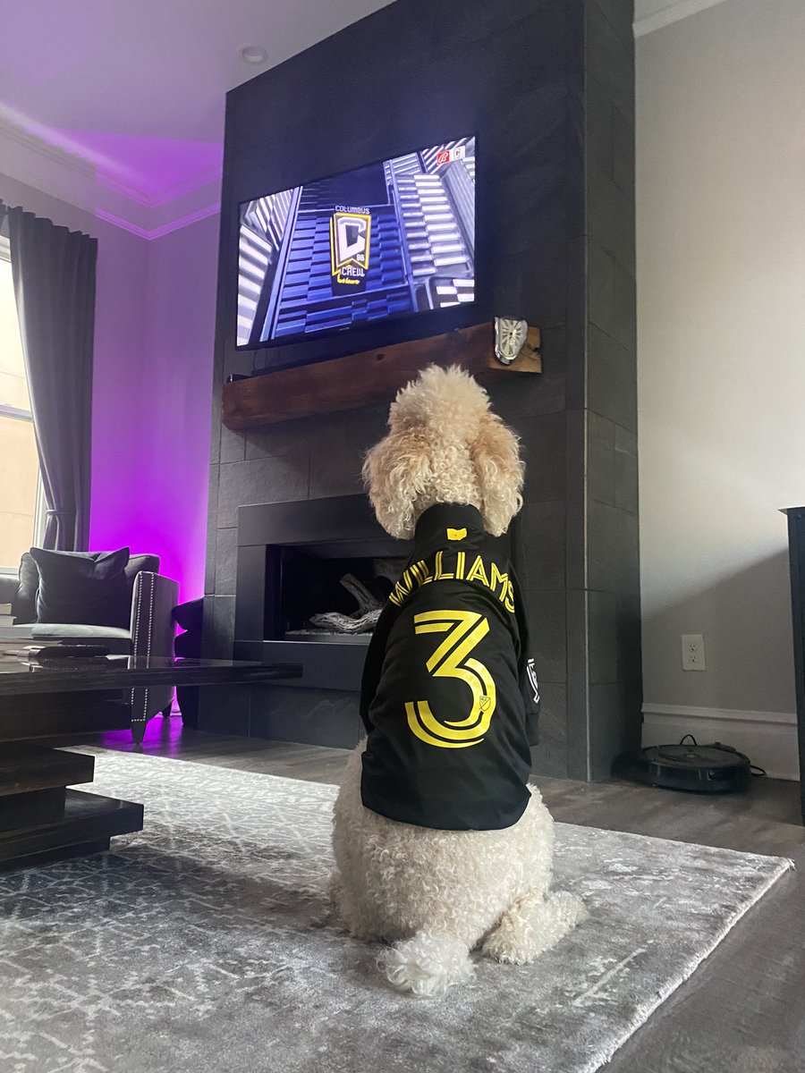 AliviaHuffine's tweet photo. It’s my second favorite day of the week, after Saturdays of course. 💛🖤
#WAYW @katieee_robns
#MATCHDAY @ColumbusCrew https://t.co/lwirtl4S4P