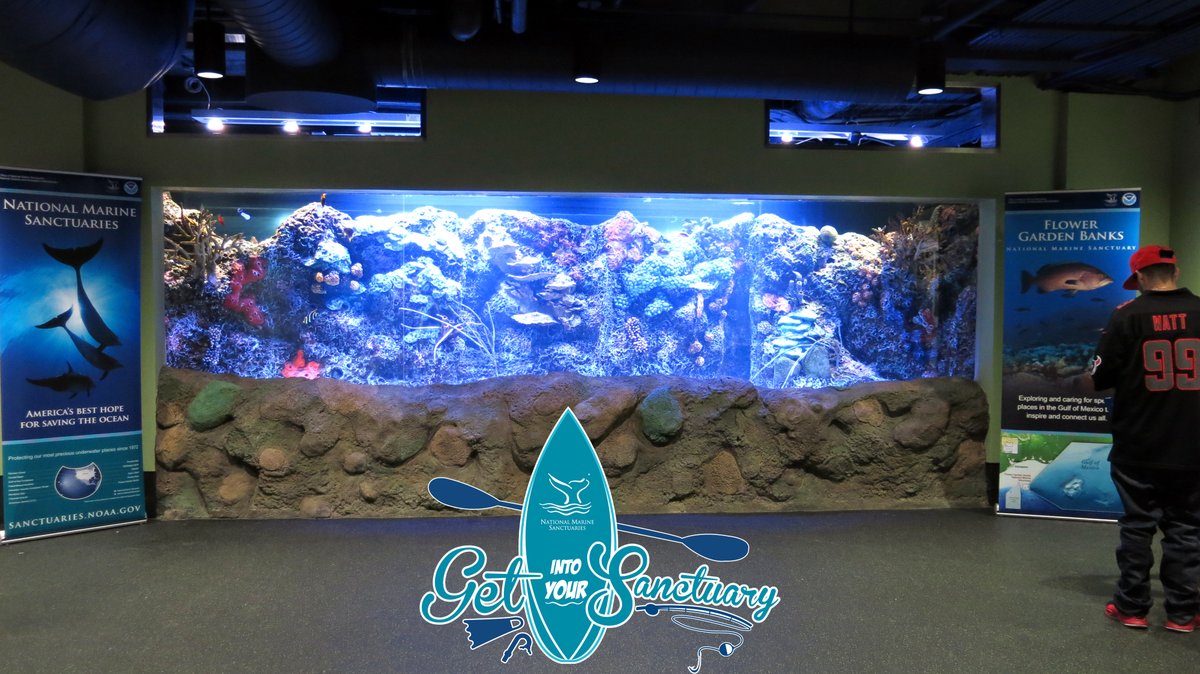 FGBNMS's tweet photo. Beat the heat and #GetIntoYourSanctuary by visiting the Aquarium at Moody Gardens!
Check out the @FGBNMS, oil rig, and Caribbean exhibits to see tropical fish species that also call the sanctuary home.
#ILoveMySanctuary #ExploreSpectacular https://t.co/ZJYkzRoigb