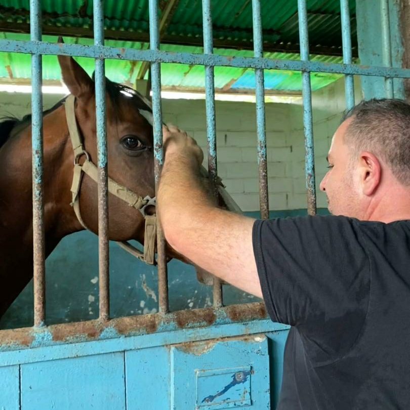 Buenas tardes, esté es el ejemplar SUPREMO, fué parte de la primera producción de KING SERAF, su madre es CENZA, está en el harás Agua Miel, saludos <a href="/TrinoPulido/">Trino Pulido baez</a> <a href="/dariopiccinini/">Dario Piccinini</a> @
