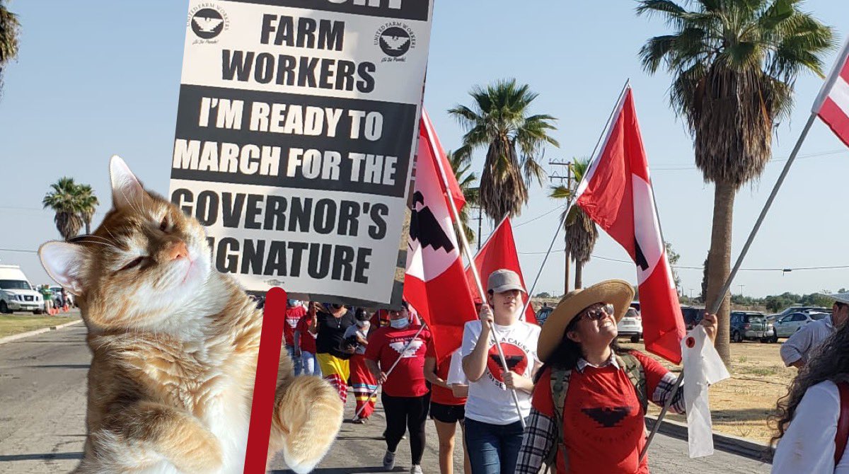 I am marching around the hallways here in solidarity with the farm workers in California. Hey <a href="/GavinNewsom/">Gavin Newsom</a> if you want to prove you’re actually a good guy, you’ll sign #AB2183!