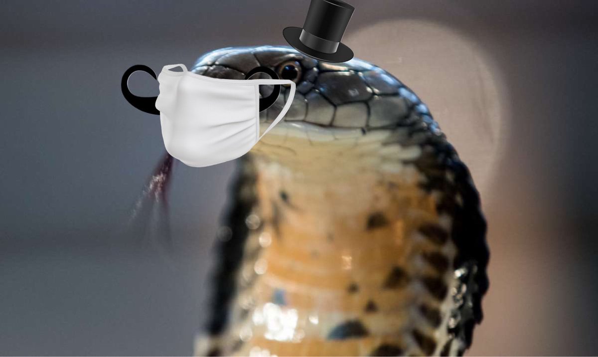 It’s been one year since my great escape. But I finally got the rona. Mask it or casket y’all!!!