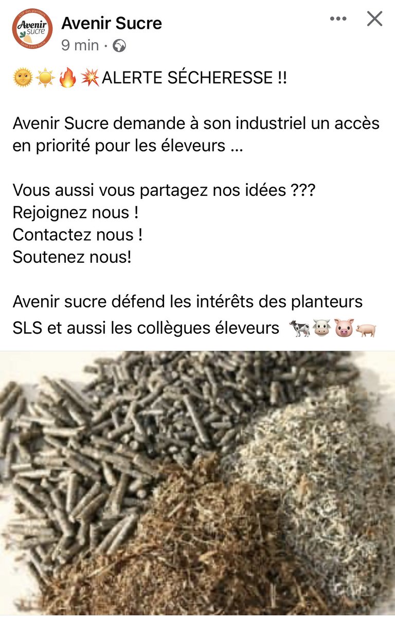 Avenir Sucre OP (@avenir_sucreop) on Twitter photo 
