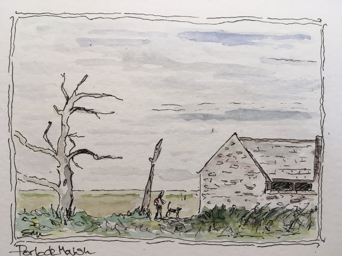 SusanLocke7's tweet photo. #drawingaugust #porlockmarsh #theauldemptybarn (there’s nothing in it) Day 3 https://t.co/9JT0IuFM0G